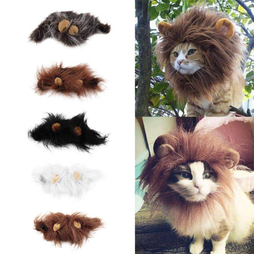 Cat Clothing Soft Pet Cat Dog Wig With Ears - DiyosWorld