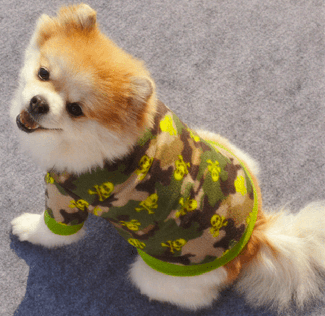 Dog Coats & Jackets DIYOS™ Warm Fleece Dog Sweater - DiyosWorld