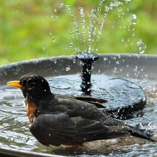 Fountains & Bird Baths [SMALLER SIZE 13CMS] DIYOS™ Premium Solar Fountain - DiyosWorld